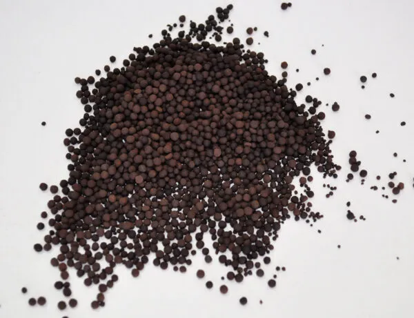 Abono Huerto – CULTIVERS - Imagen 2