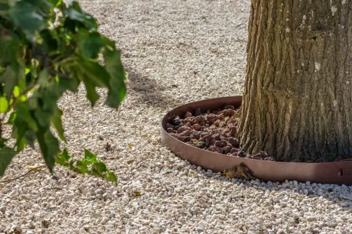 Borduras circulares para árboles – Borduring - Imagen 3