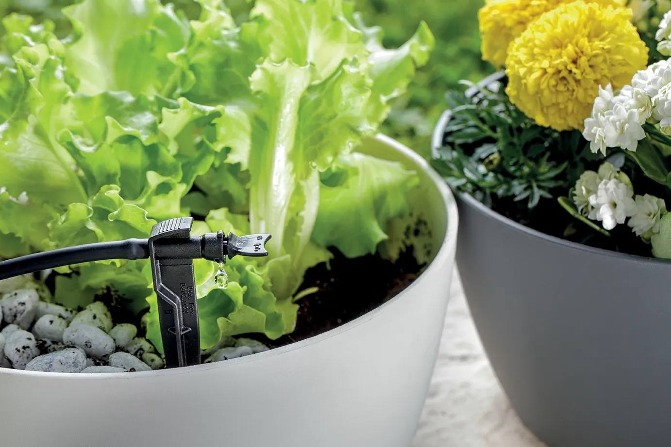 Gotero ajustable Delta Drip con espita 4,5mm - Imagen 2