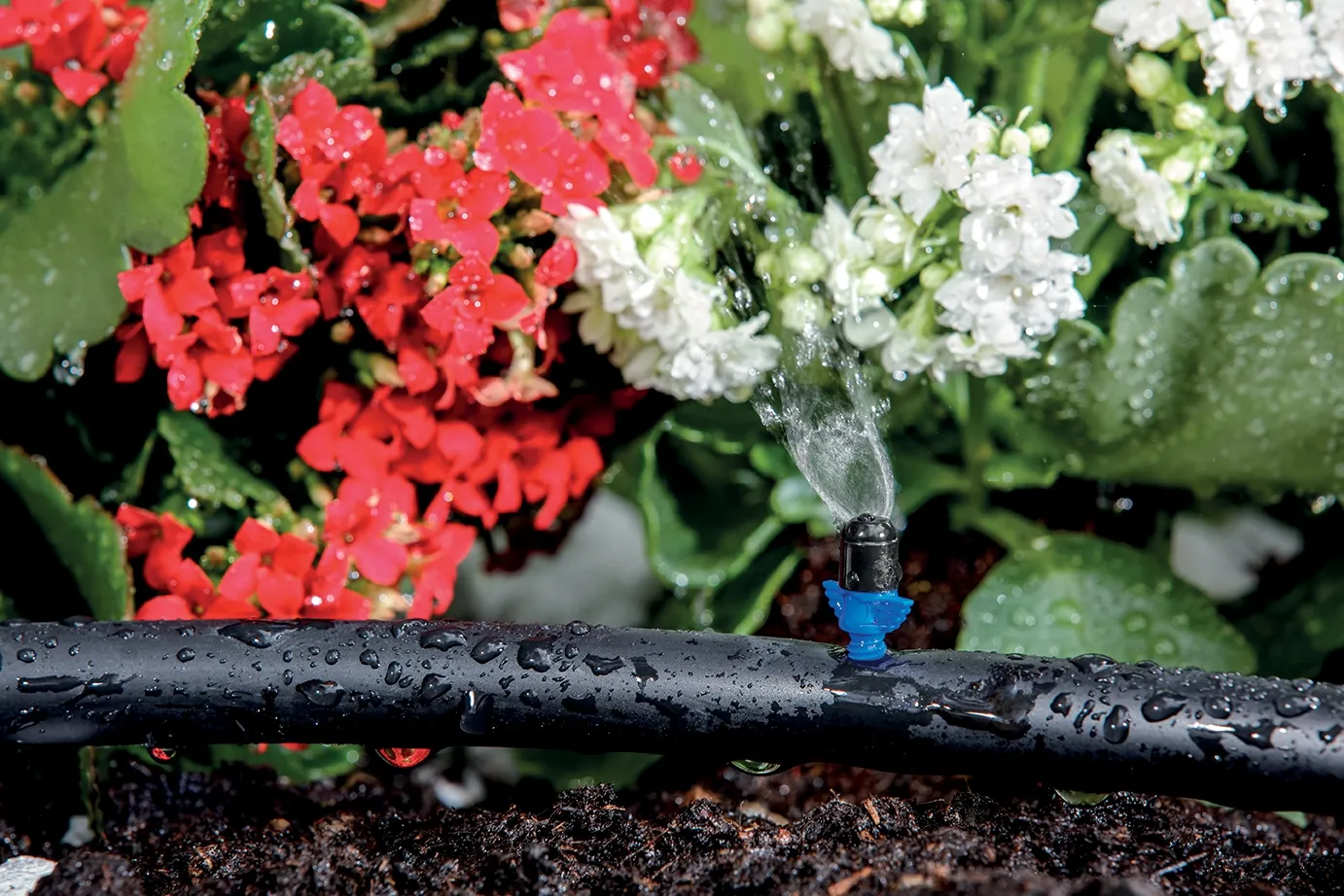 Microdifusor EAGLE JET - Imagen 4