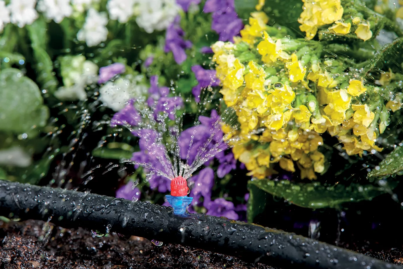 Microdifusor EAGLE JET - Imagen 2