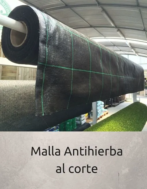 Pinchos de sujeción – 1 unidad - Imagen 3