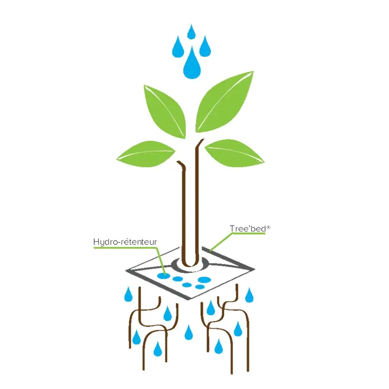 Cojín de Riego de Liberación Lenta TREE’BED® - Imagen 3