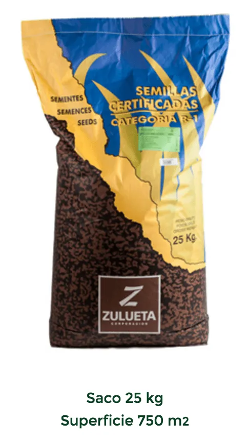 Semillas de Césped para la Península Ibérica - Imagen 4