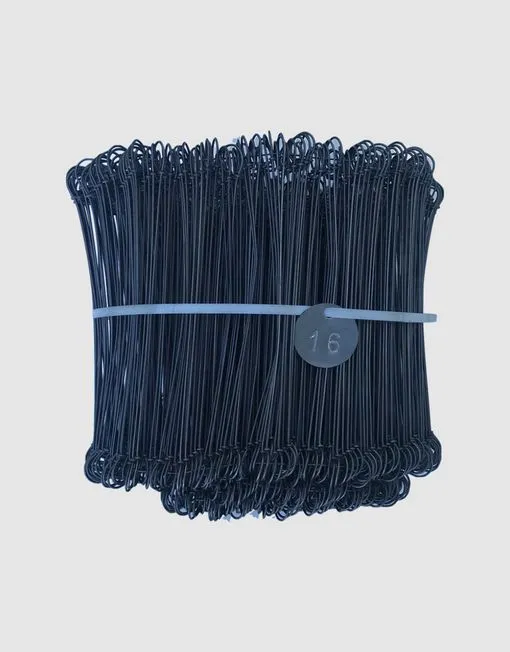 Atadura de Hierro - Imagen 2