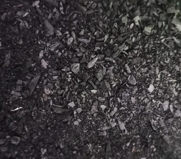 Biochar Carbón – CULTIVERS - Imagen 3