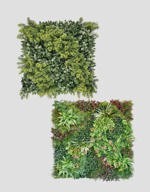 Jardines Verticales – Colección Mediterráneo