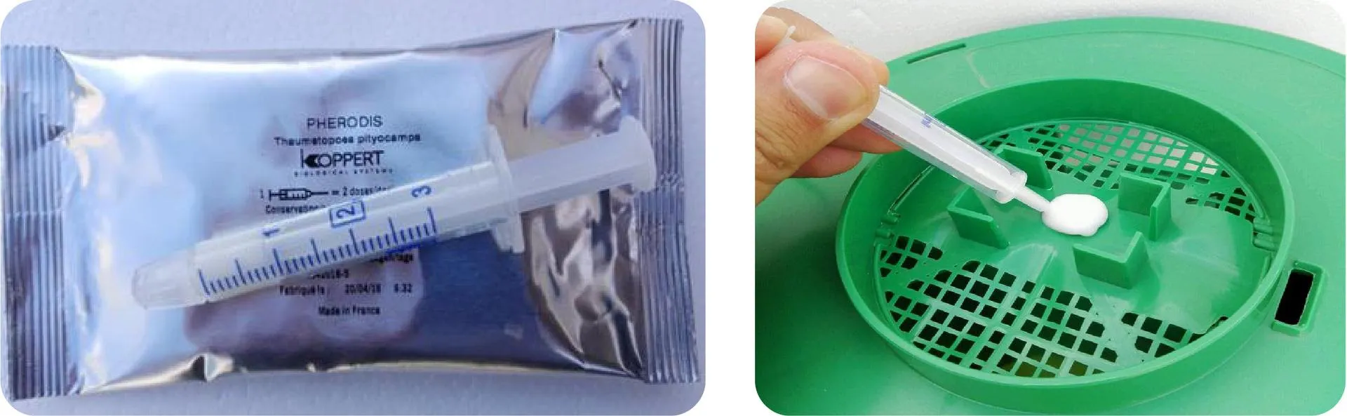 Feromonas para trampa Procesionaria - Imagen 3