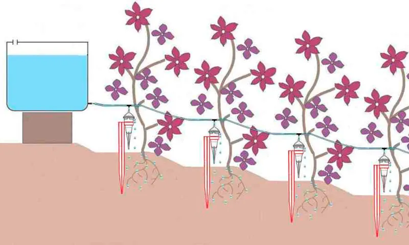 Riego por goteo IRISO, 11 caudales regulables - Imagen 2