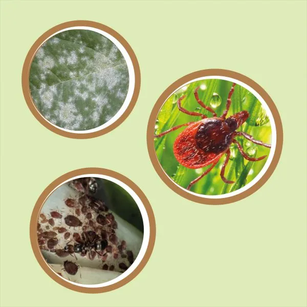 Triple acción listo uso – CULTIVERS - Imagen 2