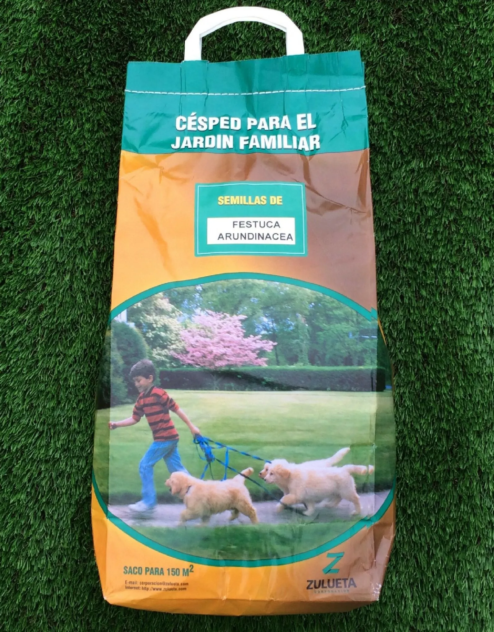 Semillas de Césped para la Zona Mediterránea Uso Intenso