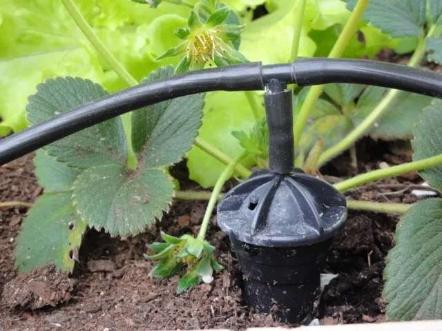 Riego por goteo IRISO, 11 caudales regulables - Imagen 4