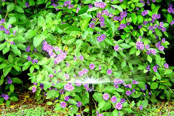 Microdifusor regulable IDRA - Imagen 2