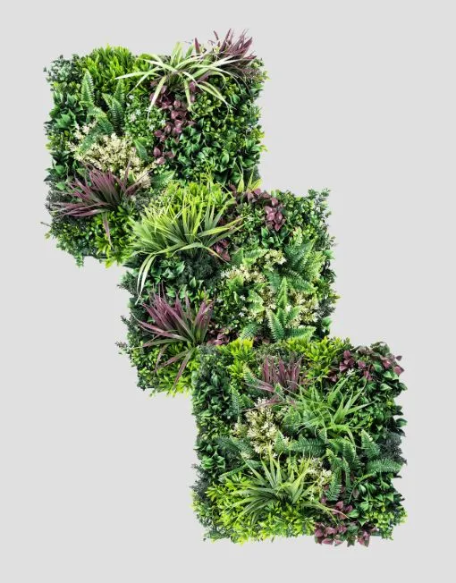 Jardín vertical Colección Tropical – Serie Borneo S-Mix (A, B, C)