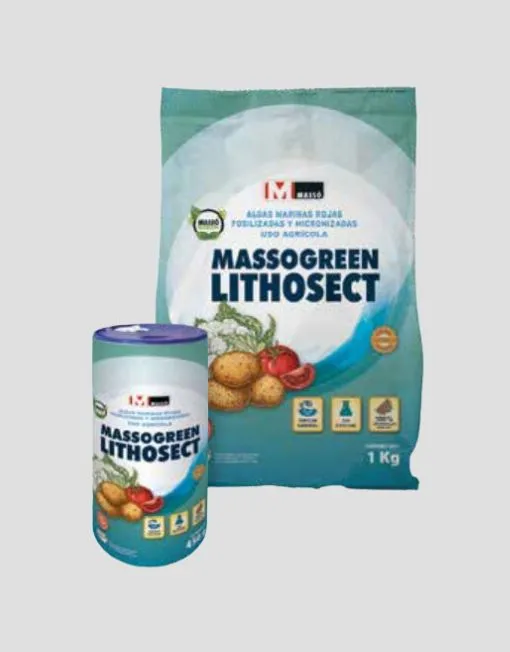 MASSOGREEN LITHOSECT