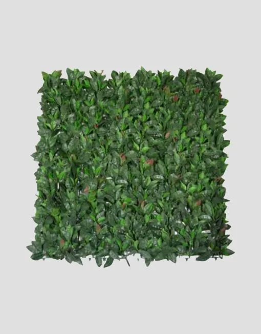 Seto artificial Photinia
