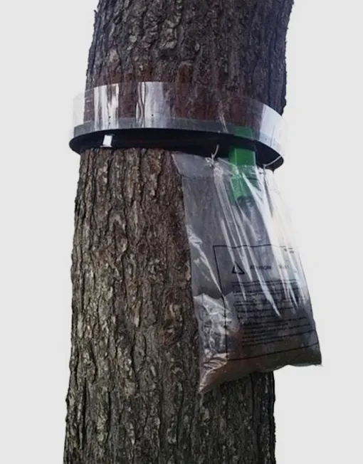 Trampa Procesionaria