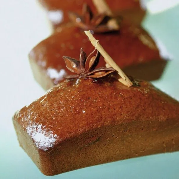 Flexipan 60 x 40 placa de 18 lingotes 10,2 x 5,8 cm