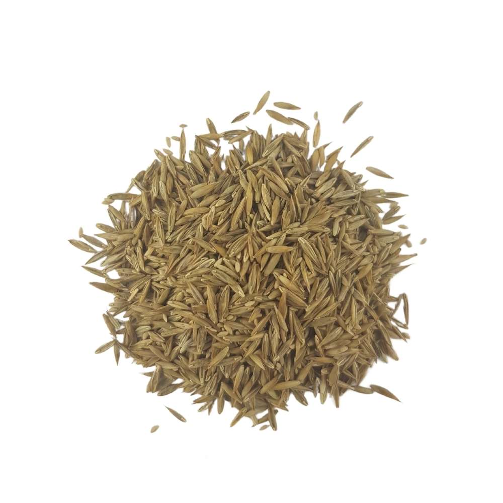 Semillas Césped Mezcla Comercial FORT – 1 kg - Imagen 3