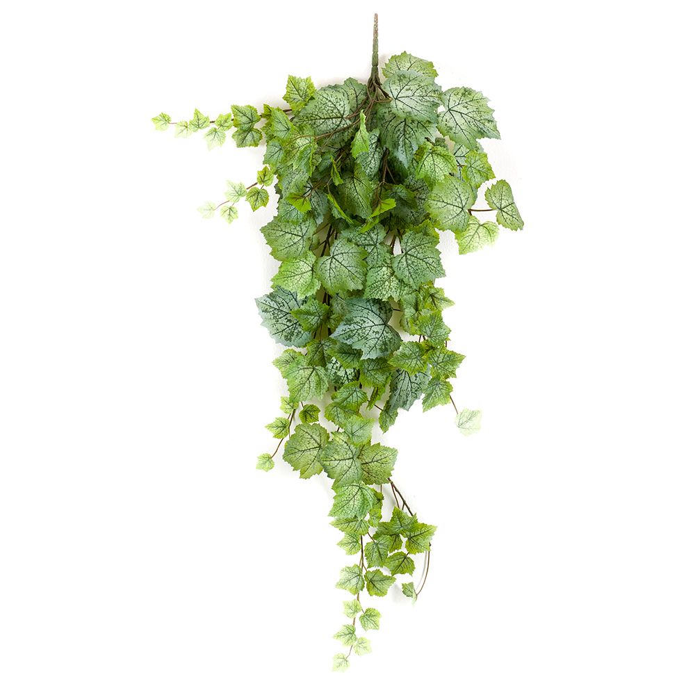 Planta Colgante HOJA DE PARRA de 100 cm. Color verde/blanco. Caja de 6 Unidades.