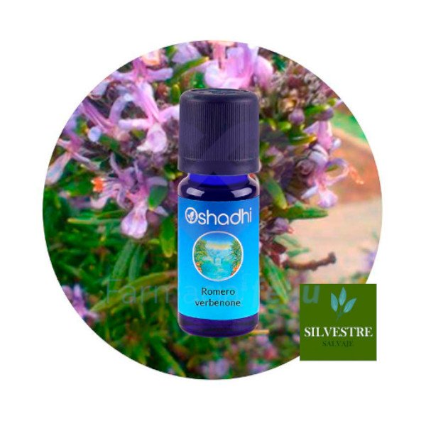 Oshadhi Aceite Esencial Romero Verbenone, 5 ml