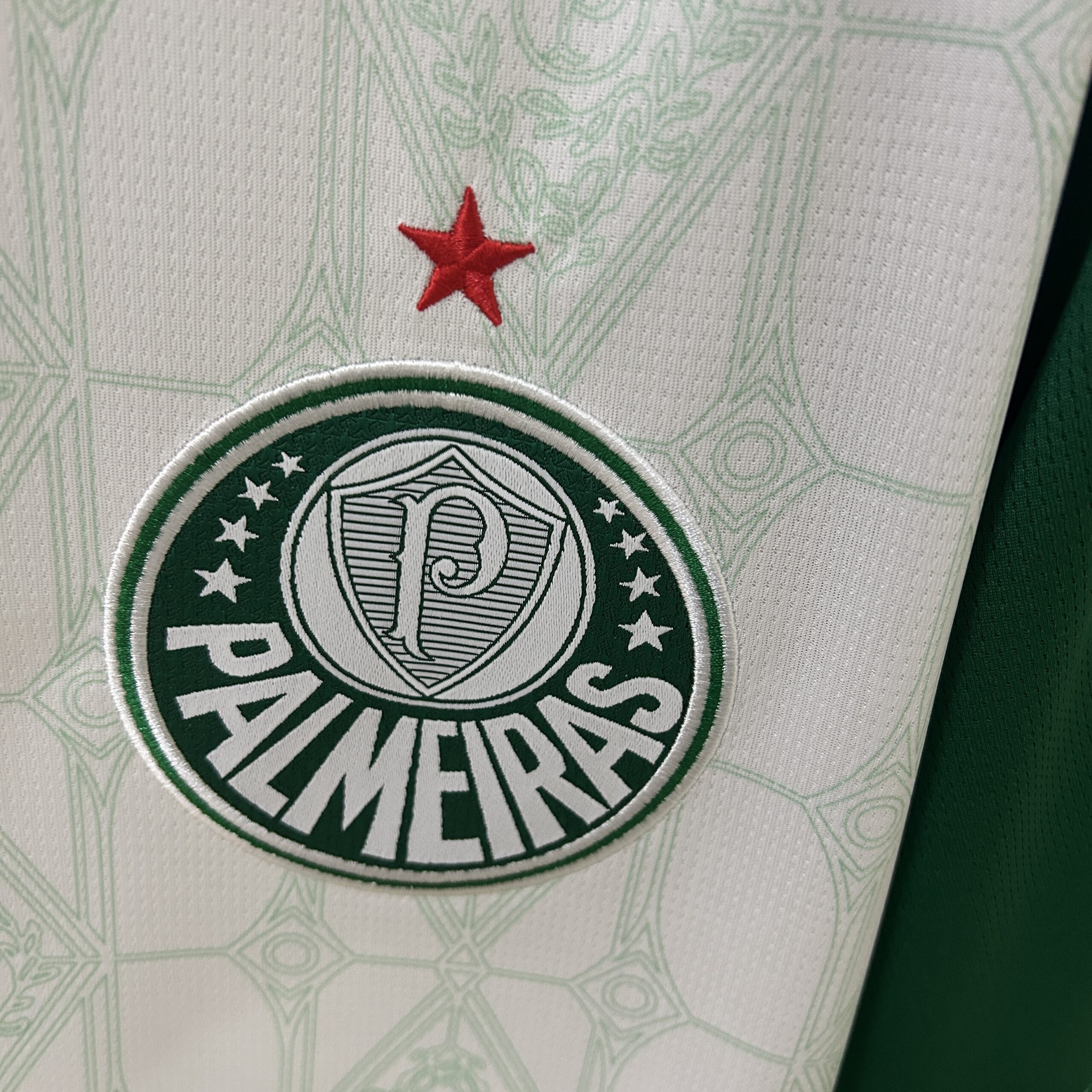 Camiseta Palmeiras 25-26 Visitante - Imagen 5