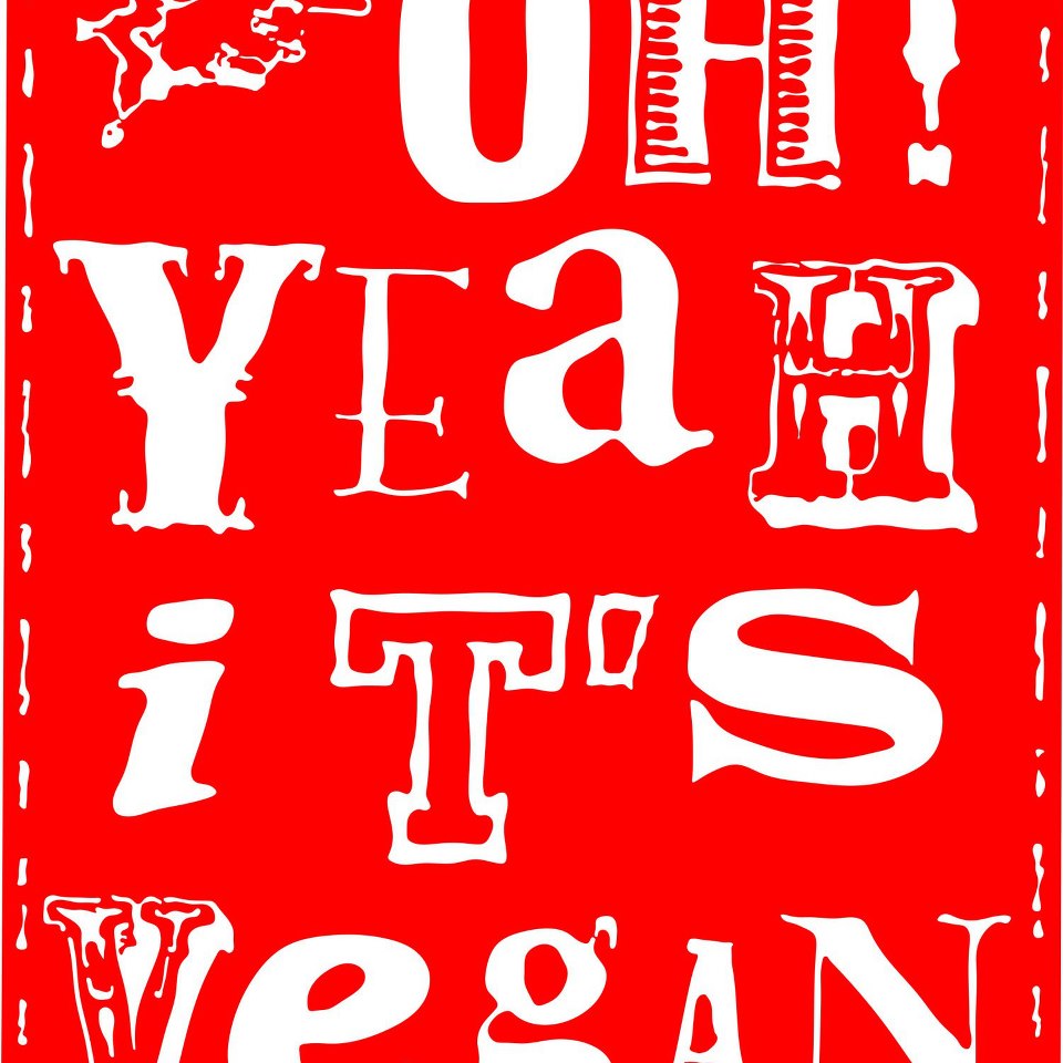 VINAGRE DE SIDRA DE MANZANA ORGÁNICO 250 ML – OH YEAH IT’S VEGAN - Imagen 2