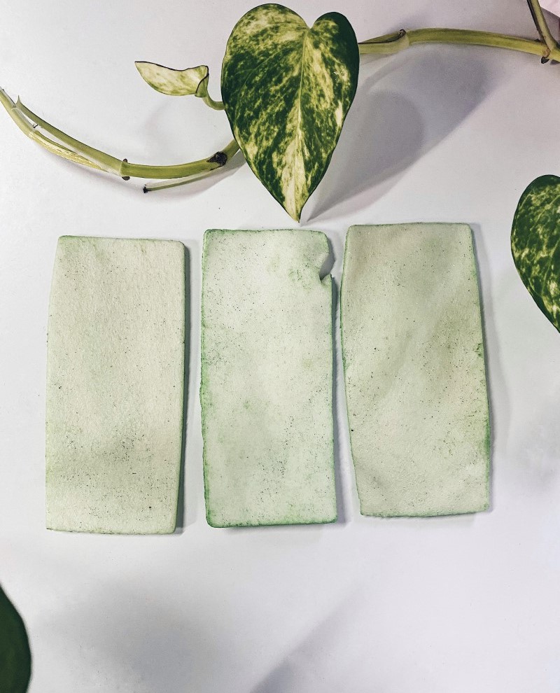 Sábana Dental con Alga Espirulina