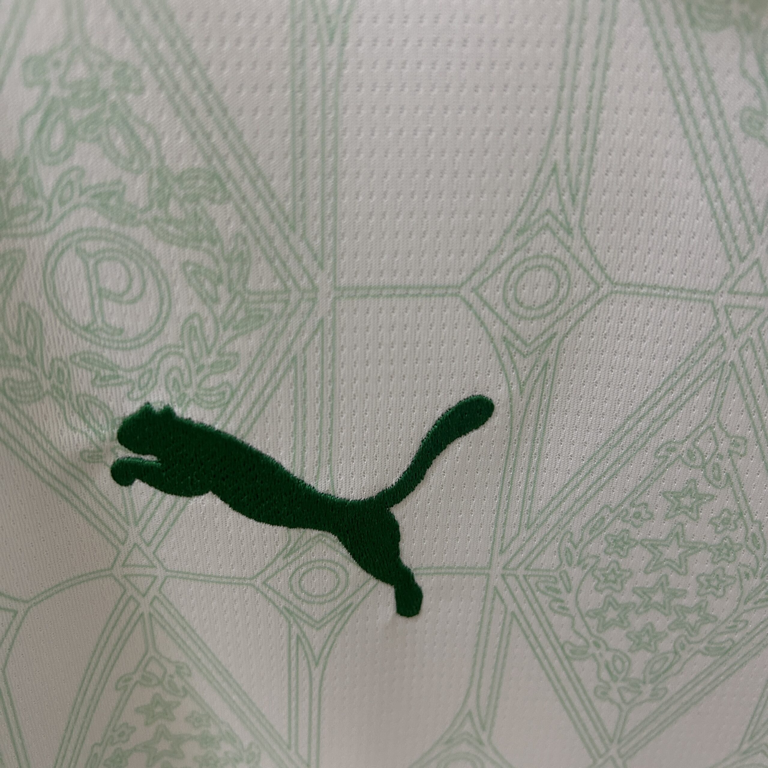 Camiseta Palmeiras 25-26 Visitante - Imagen 4