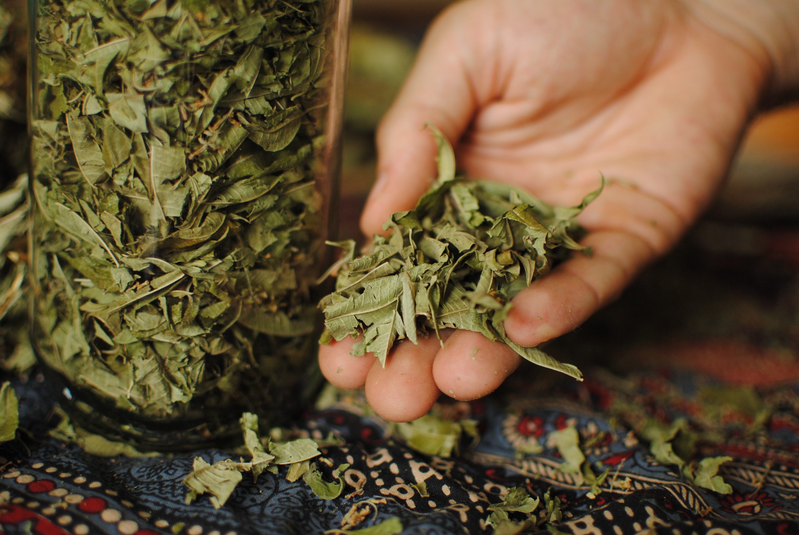 CEDRON EN HOJAS 50 GR - Imagen 2