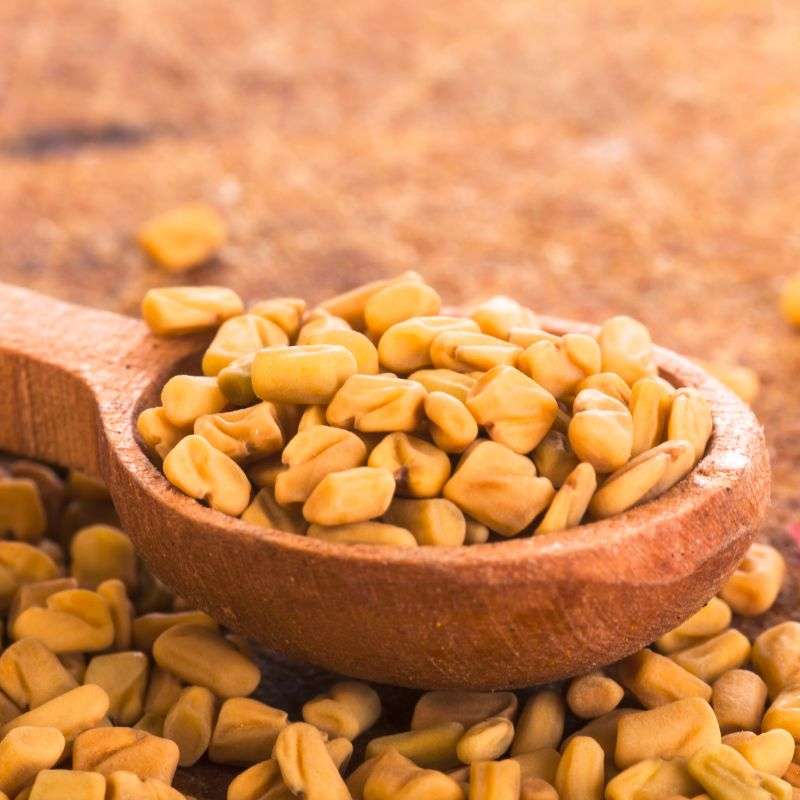 FENOGRECO ENTERO 100 GR - Imagen 2