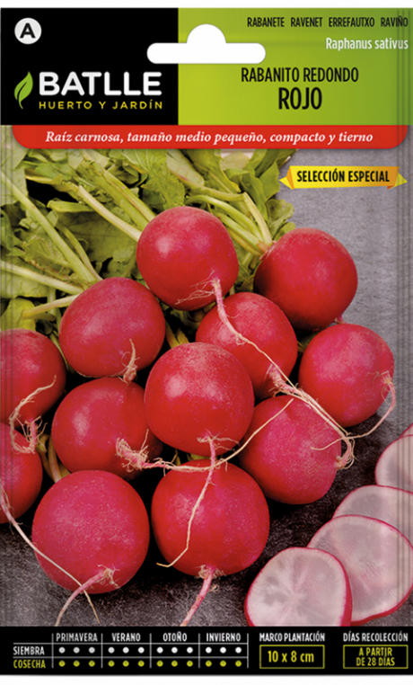 Semillas Rabanito Redondo Rojo Especial
