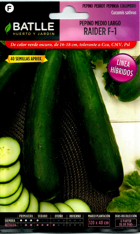 Semillas Pepino Raider Híbrido F1 40 Sem.