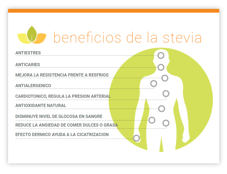 STEVIA EN HOJAS 50 GR - Imagen 3